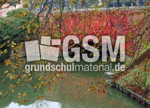 Herbststimmung-23-10-09 040.jpg